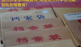 贵州大学生档案查询_寻觅贵州大学生档案，轻松在线查询！