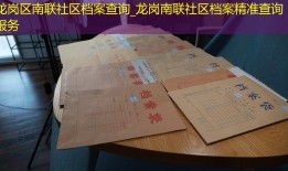 龙岗区南联社区档案查询_龙岗南联社区档案精准查询服务