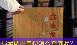 档案调出单位怎么查询呢？