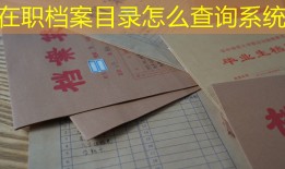 在职档案目录怎么查询系统