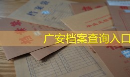 广安档案查询入口