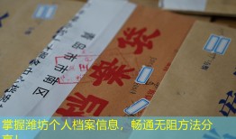 掌握潍坊个人档案信息，畅通无阻方法分享！