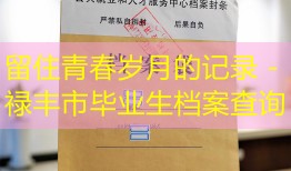 留住青春岁月的记录 - 禄丰市毕业生档案查询