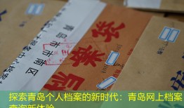 探索青岛个人档案的新时代：青岛网上档案查询新体验