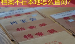 档案不在本地怎么查询？