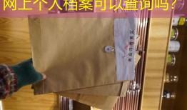 网上个人档案可以查询吗？