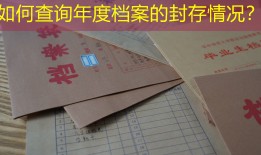 如何查询年度档案的封存情况？