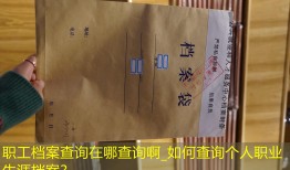 职工档案查询在哪查询啊_如何查询个人职业生涯档案？