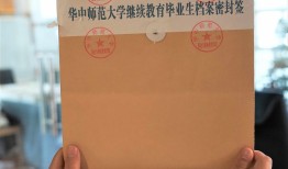 旺苍档案查询，揭秘每一个平凡背后的故事
