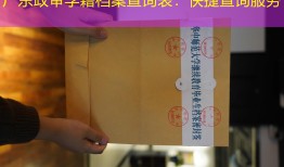 广东政审学籍档案查询表：快捷查询服务