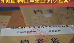 如何查询硕士毕业生的个人档案？