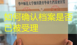 如何确认档案是否已被受理