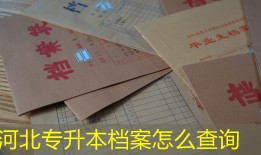 河北专升本档案怎么查询