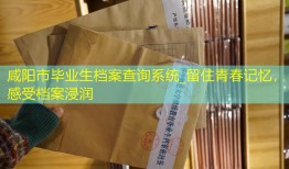 咸阳市毕业生档案查询系统_留住青春记忆，感受档案浸润