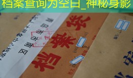档案查询为空白_神秘身影