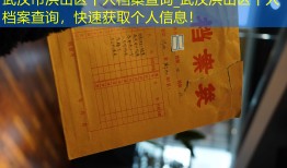 武汉市洪山区个人档案查询_武汉洪山区个人档案查询，快速获取个人信息！