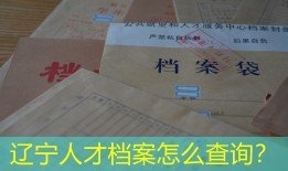 辽宁人才档案怎么查询？