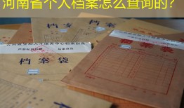 河南省个人档案怎么查询的？