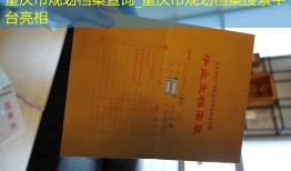 重庆市规划档案查询_重庆市规划档案搜索平台亮相