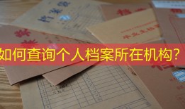 如何查询个人档案所在机构？