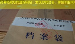 高考档案取向查询网站：发现你的过去，掌握你的未来
