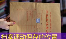 档案调动保存的位置