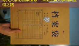 寻找失落的档案宝藏：探秘往届人事档案查询之路