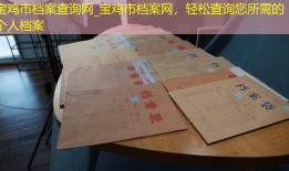 宝鸡市档案查询网_宝鸡市档案网，轻松查询您所需的个人档案