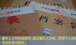 肇东人才网档案查询_通过肇东人才网，获取个人档案信息的查询服务。