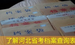 了解河北省考档案查询表