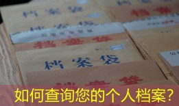 如何查询您的个人档案？