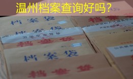 温州档案查询好吗？