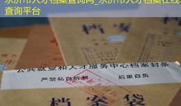 永济市人才档案查询网_永济市人才档案在线查询平台