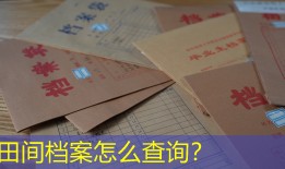 田间档案怎么查询？