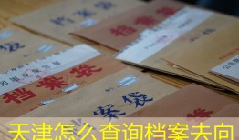 天津怎么查询档案去向