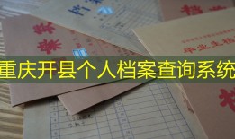 重庆开县个人档案查询系统