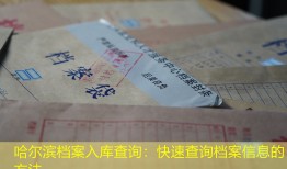 哈尔滨档案入库查询：快速查询档案信息的方法