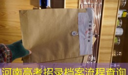 河南高考招录档案流程查询