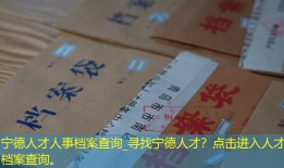 宁德人才人事档案查询_寻找宁德人才？点击进入人才档案查询。