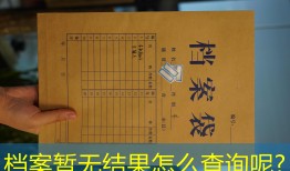档案暂无结果怎么查询呢?