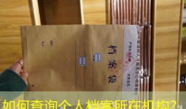 如何查询个人档案所在机构？