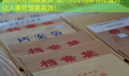 滨州人才档案查询_滨州人才档案轻松查询，让人事管理更高效！