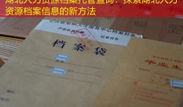 湖北人力资源档案托管查询：探索湖北人力资源档案信息的新方法