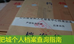 肥城个人档案查询指南