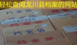 轻松查阅龙川县档案的网站