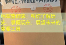 档案查询表：帮你了解历史，掌握现在，展望未来的重要工具