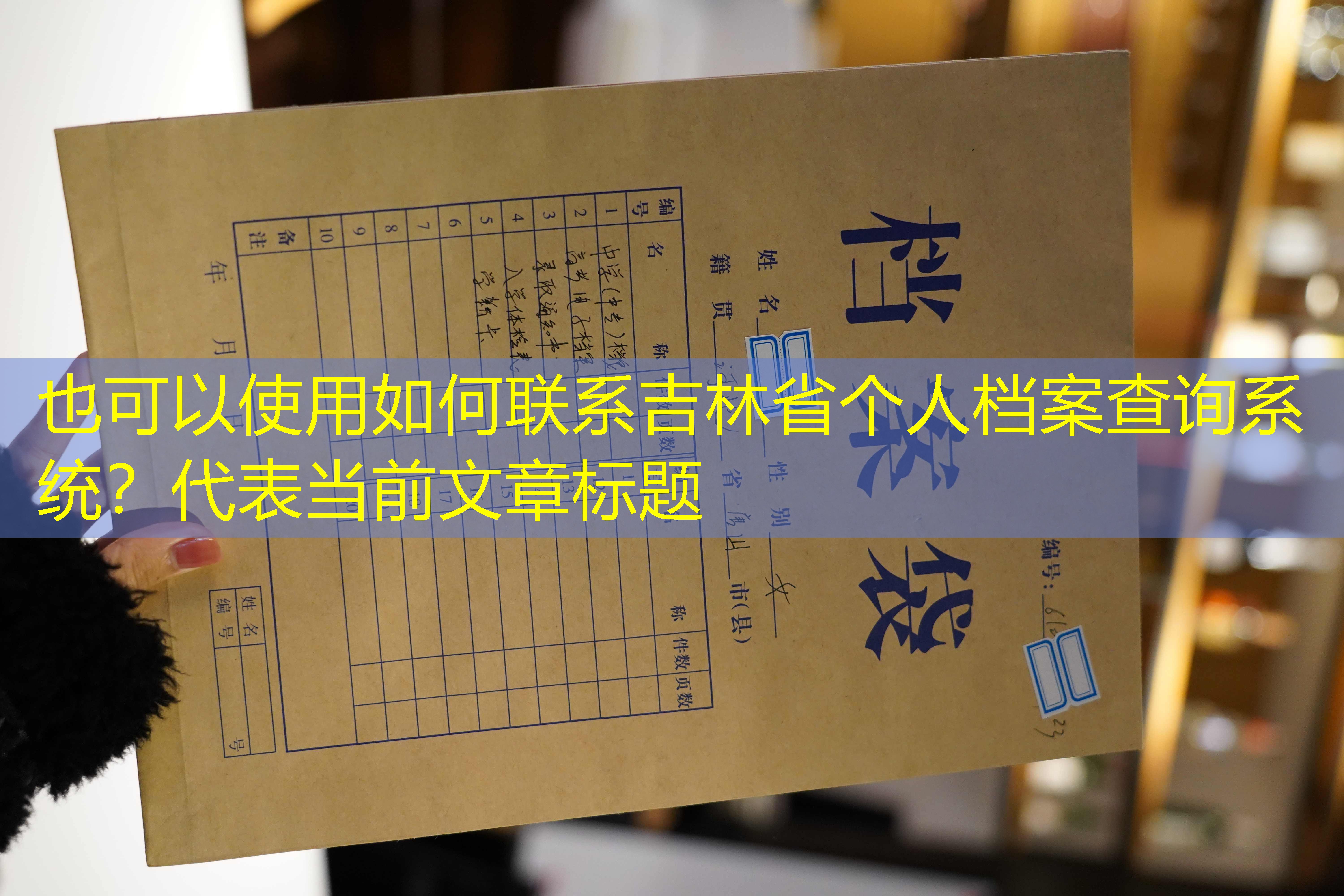 档案查询