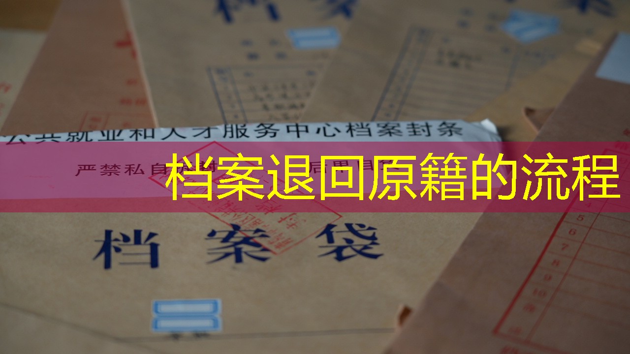 档案查询