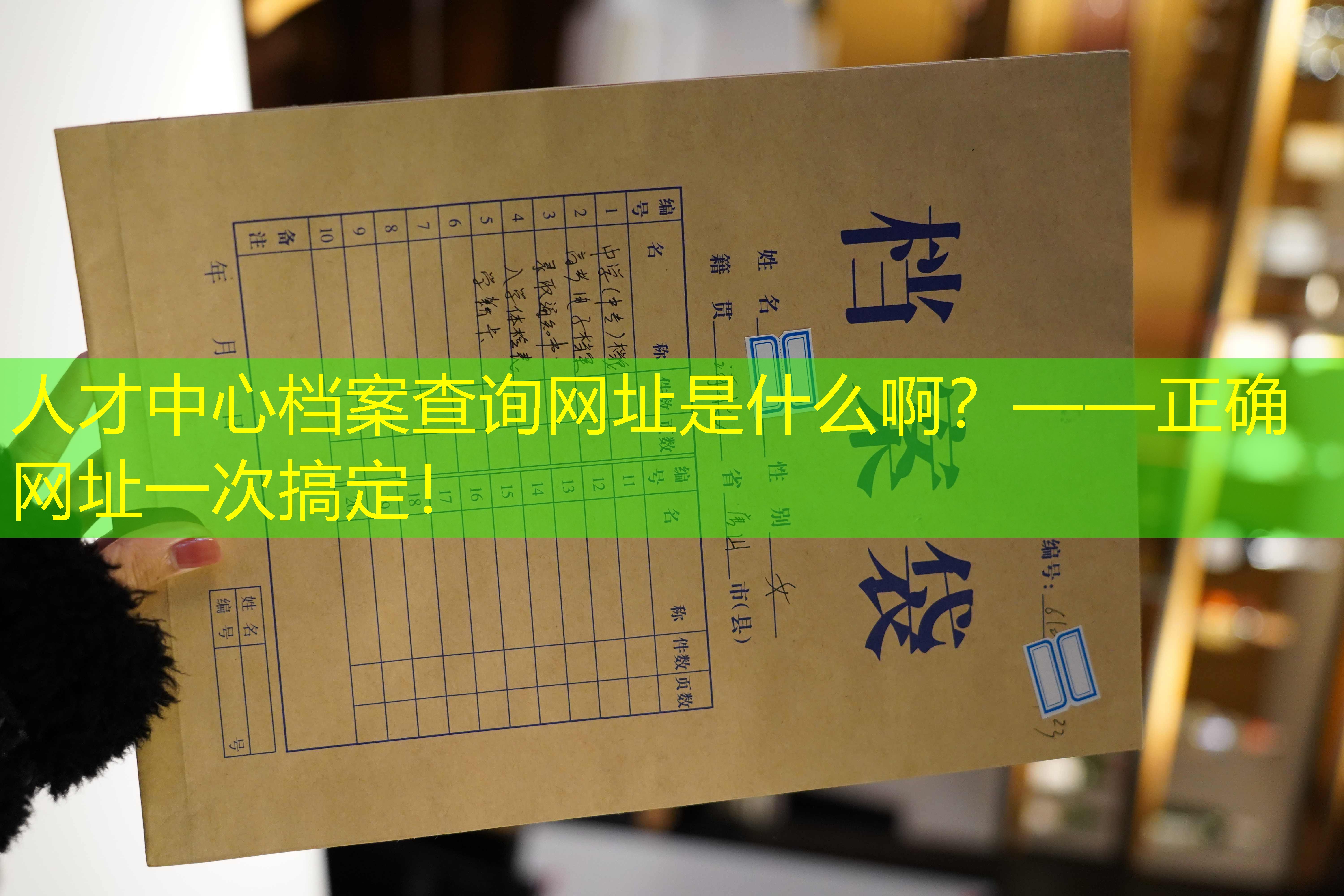 档案查询