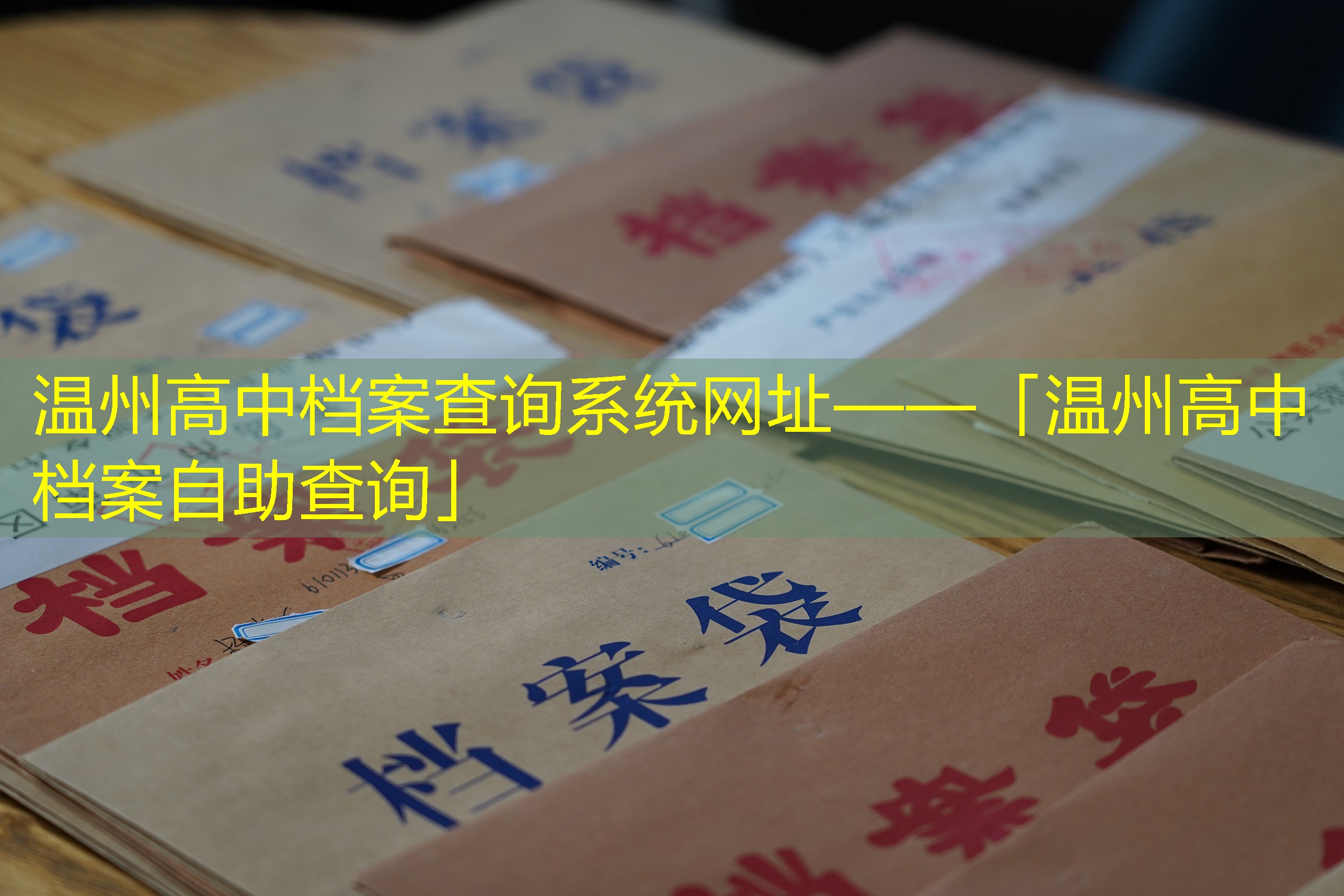 档案查询
